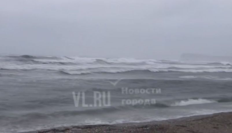 "Умирал на глазах": жуткие кадры на берегу моря в Приморье