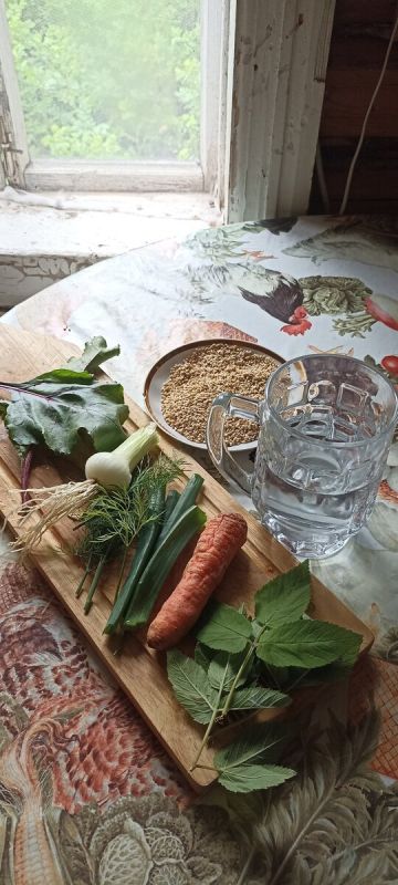 Натуральный вкус лета: похлёбка со снытью и овсом