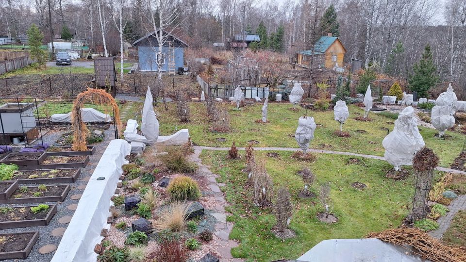Как подготовить сад к зиме: практические советы для сибирских условий