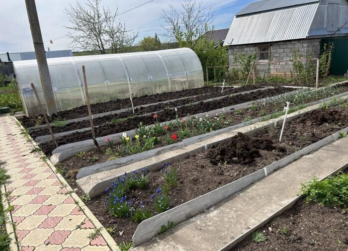 Комплекс мер против проволочника