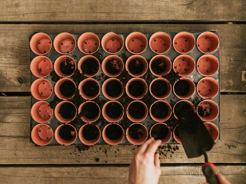 Как подготовить почву для рассады: полезные советы для садоводов