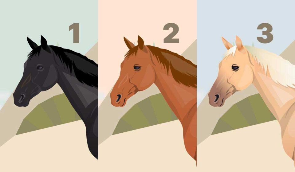 ��� ������� ���� ������ � ��������������� ����� � ��������� �������