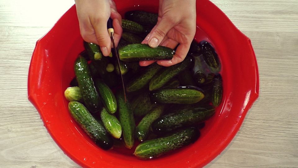 ��� ����������� ��������� ������������ ������: ������� � ������ �� ����