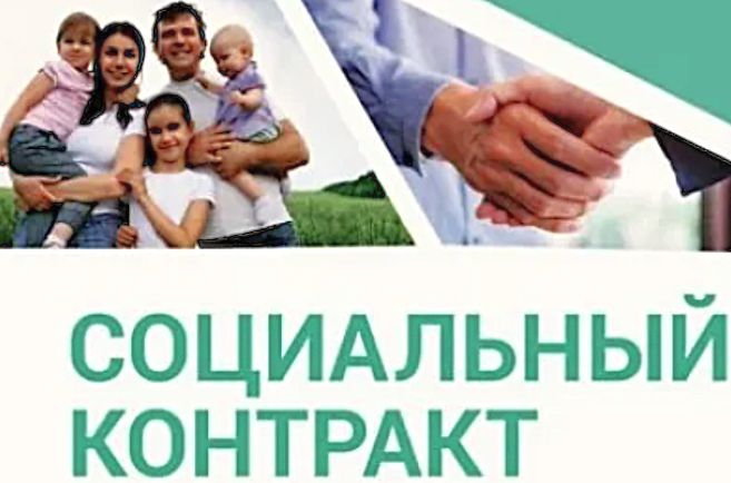 Как получить 200 тысяч рублей на развитие личного подсобного хозяйства