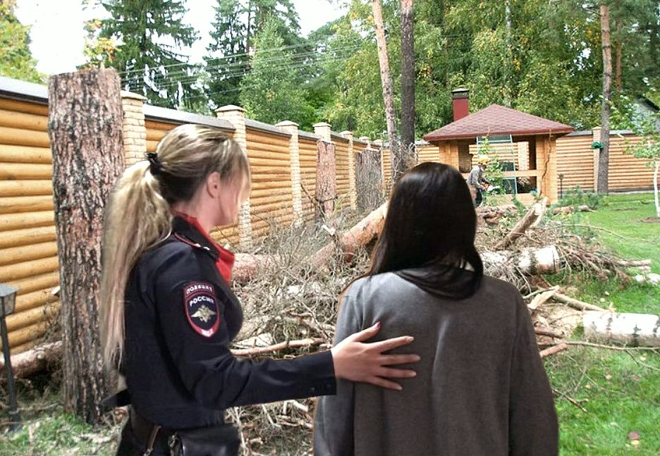 ����� ��������������� ������������ � ��������� ����: ������� ����������� ������ �� �����������