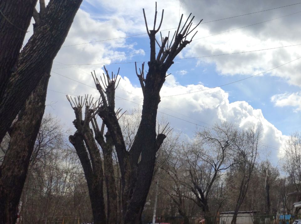 ���������� ��������: ����� ��� ������������� ������������� � ��� ����� ������?