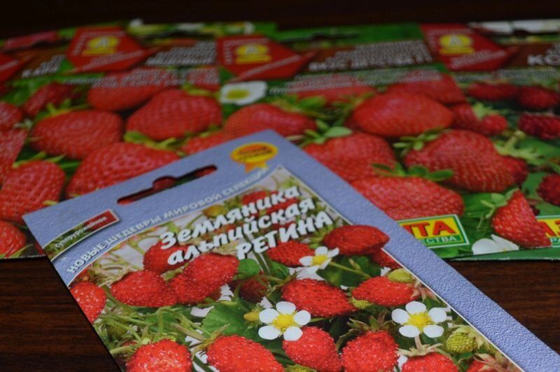 ��� ���������� ��������� �������� ������ � ������ ������