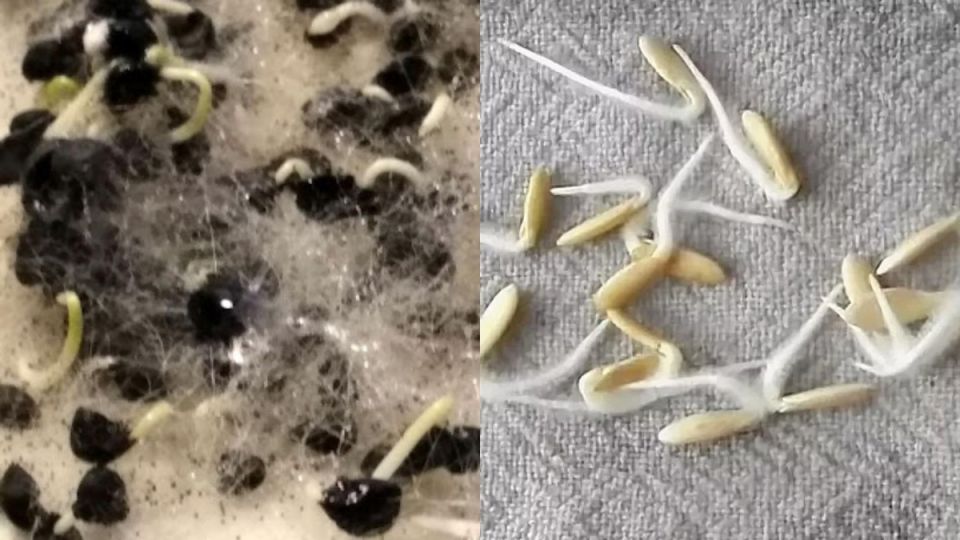 ����� ������������ ������������ ��������� �����: �������� ����� ���� �������!