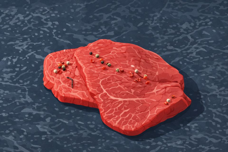 ������ ������������ ������������ ������ �������� ���� ��� ��������