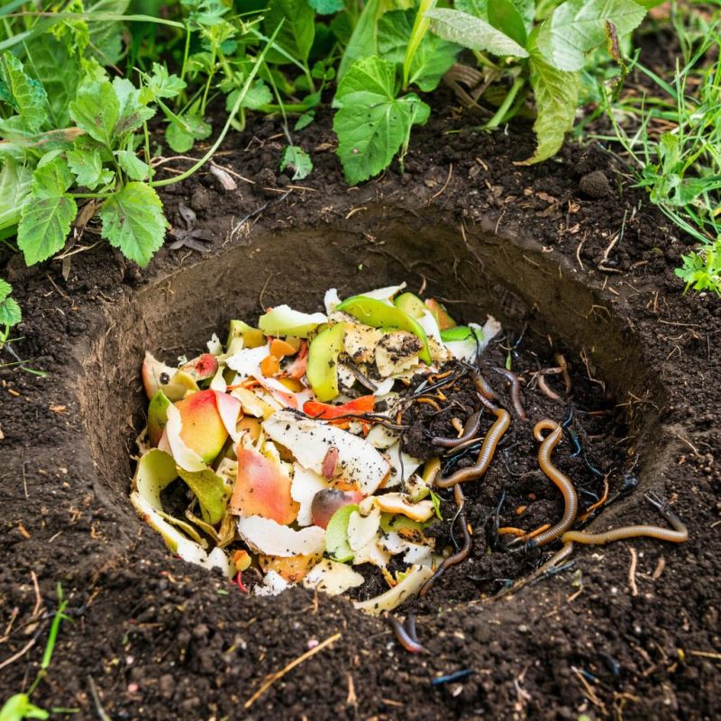 ��� ���������� ��� ���������� ������ � ������ ��� ������ ����