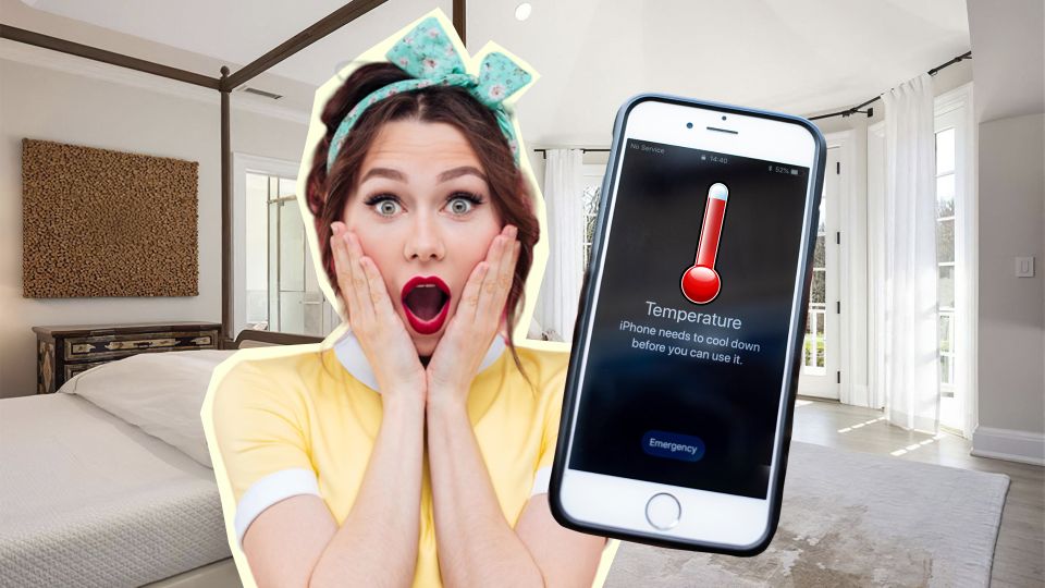 ��������� ����������� �������? ������ �������� ����� ������ ���� ��������