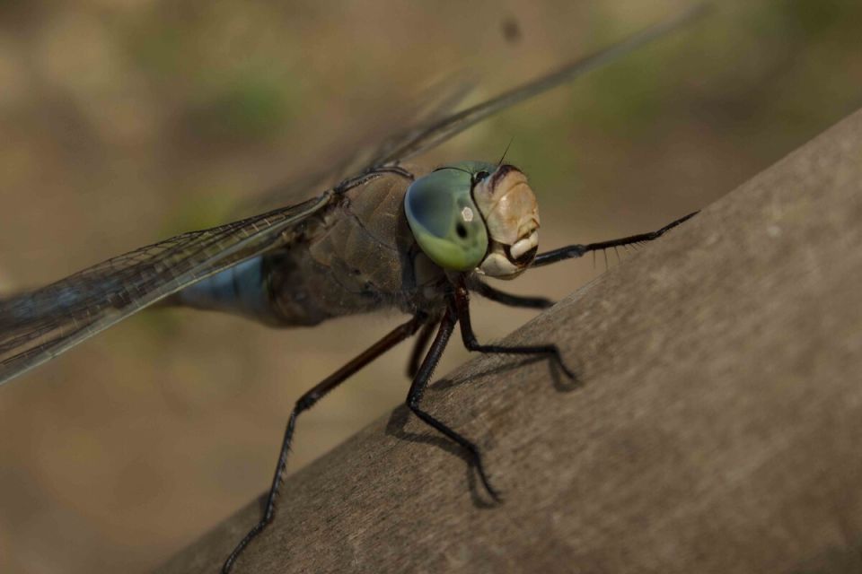 ������ ����� � ��������� ������: ��� ���������� ����� �� ����