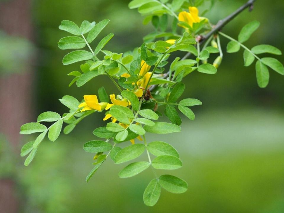 ������: ����������� ������� � ���� �� ���� ���������� ���������