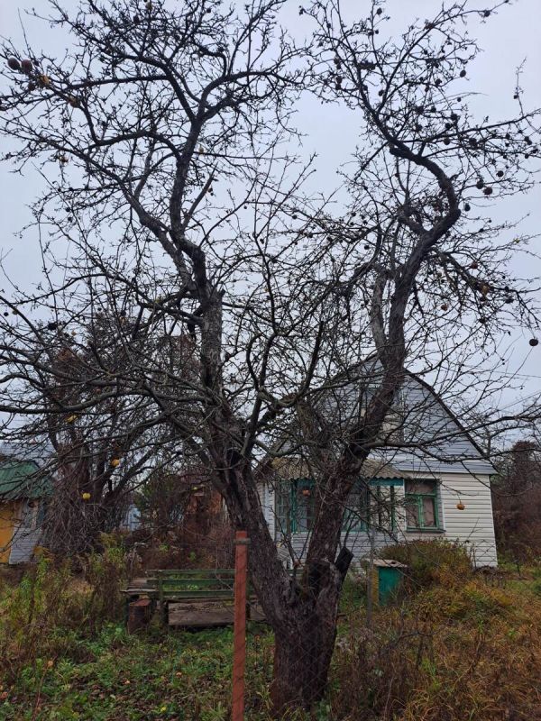 ���������� �������� ��������: ������� �������� �������