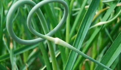 ��������� �������: ����������� �������� ����� � ������