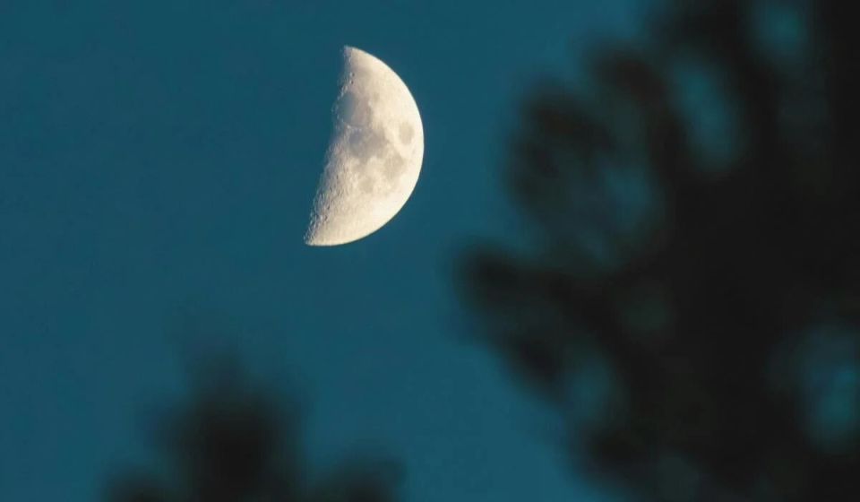 ��������� ���� �������: ����� ����� ���� ����������