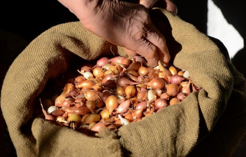 ��� ��������� ����������� ��� � ������ �������: ������ ��� ��������� ������