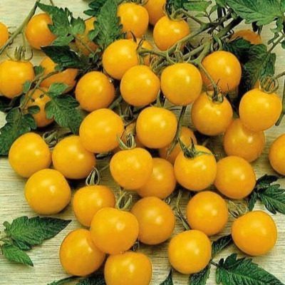 ��������� ������: ������� ��� ��������� ������� � ������� �����������