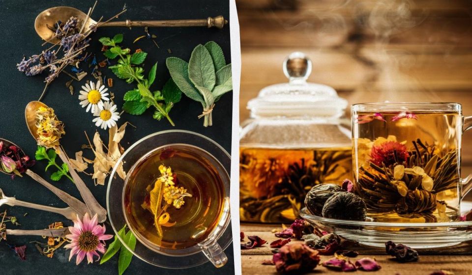 ������ ���� �������� ���: ��������� ��� � ��������� ��������