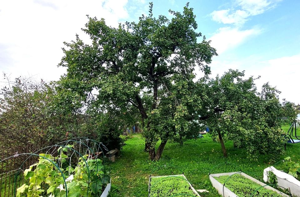 ��� ��������� ������ ������: �������� ������ ��� ���������