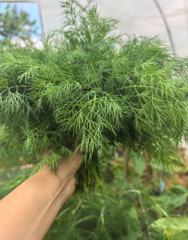 ����� � ������ ����� ��� ������ ������ � �������