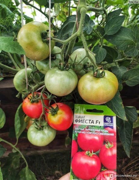 ����� ������: ������� ��������� ������ � ��������� ����� ������