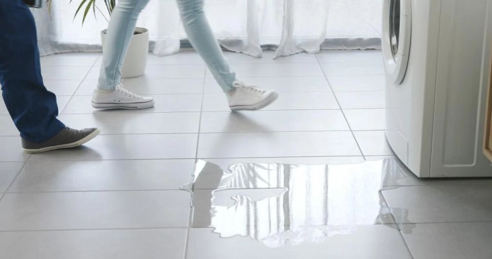 ������ ����� ���������� �������: 6 �������� ������