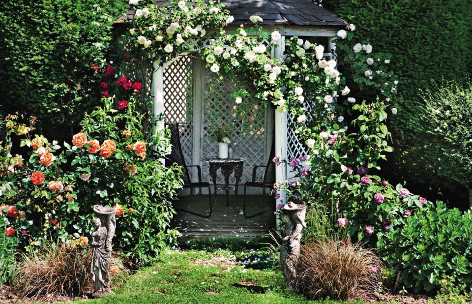 ����� ������������� �����: ���� � ������������ ����