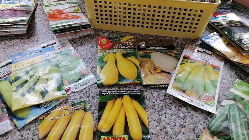 В саду и дома: чем запомнились кабачки из старой коллекции