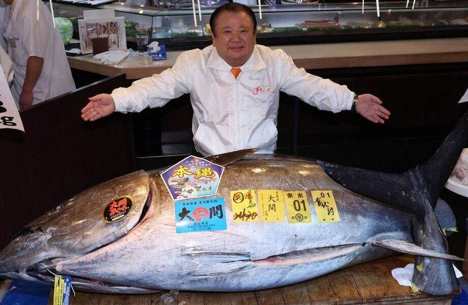 ���������������� �������� �����: ��������� ������ �� ��������� ������� �� ��������� �����