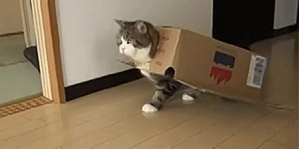        !