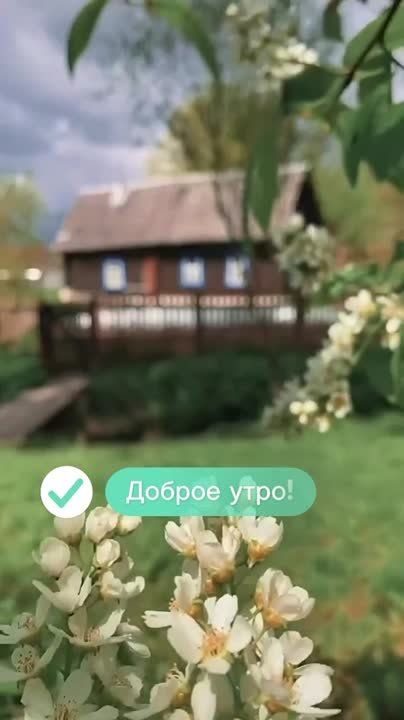  !       