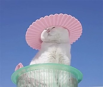        !