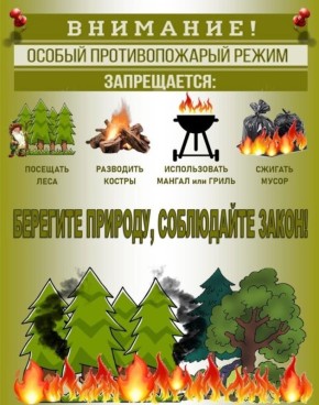 С сегодняшнего дня в регионе установлен особый противопожарный режим