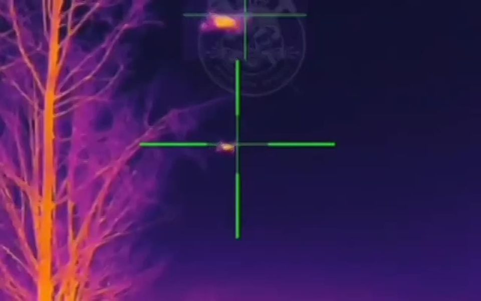  :  .       ,    - 