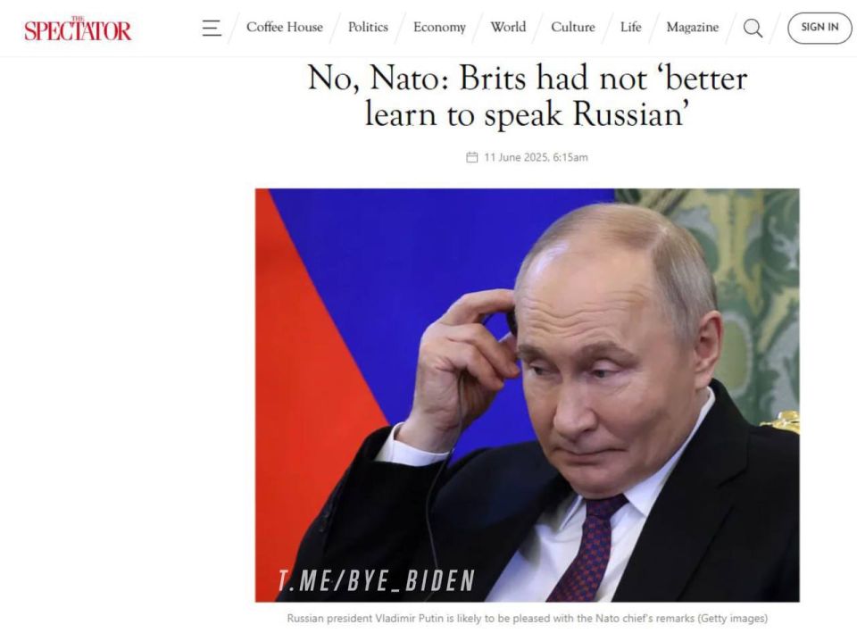  :            - The Spectator