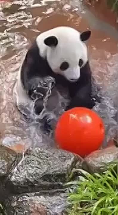    ,         