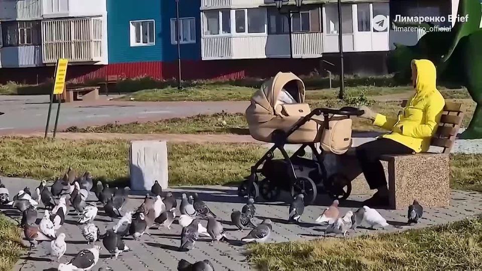  :    !     ,   !