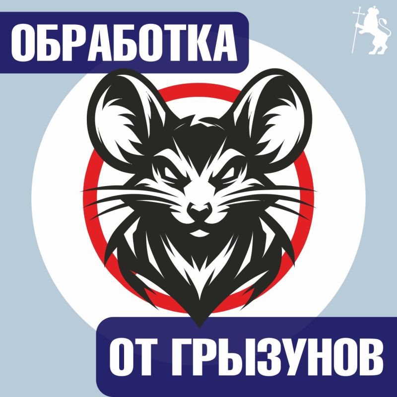          10     (  )   