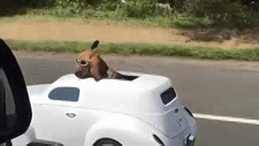       ,      !