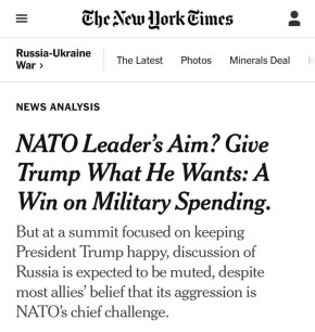  :     ,            - The New York Times