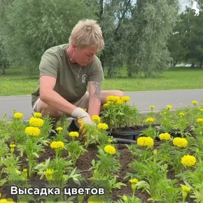      !