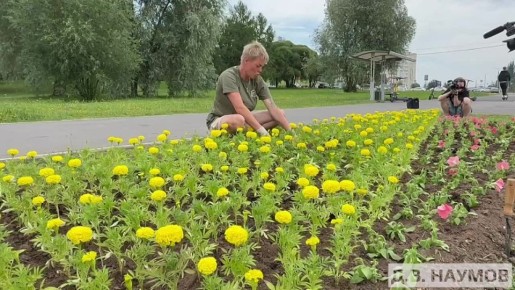  :   ..           