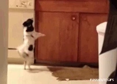 Еще не успели отойти от Сабантуя, а тут уже выходные заканчиваются