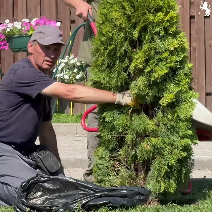     !