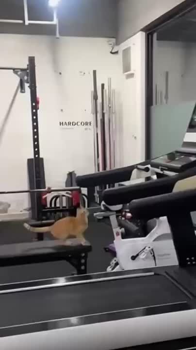   , !   ,    ,       !