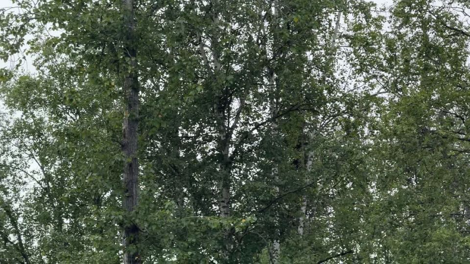  :        