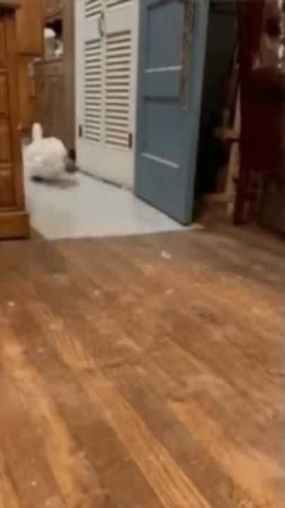        ,  ,   