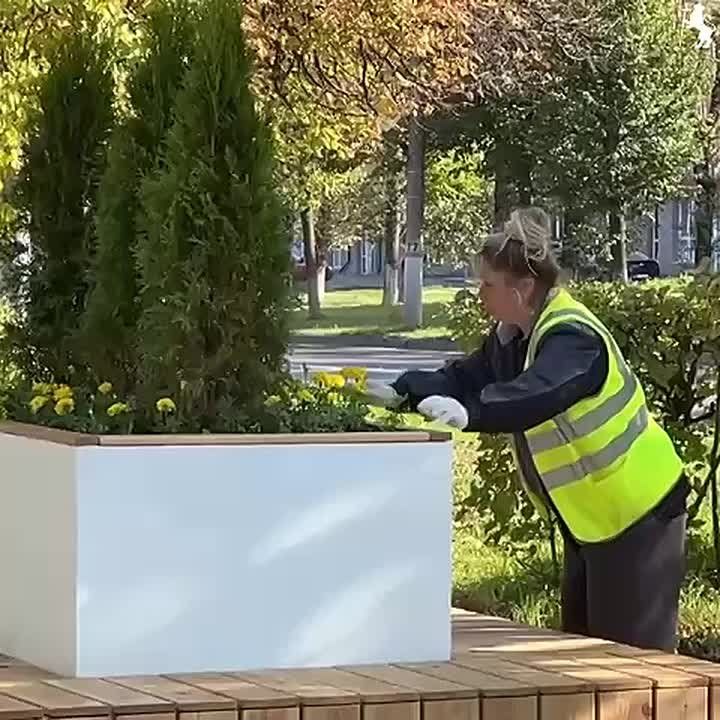   -      