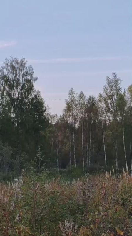               ,      